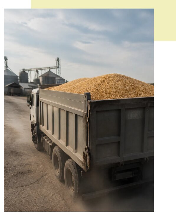 Перевозка сельхозпродукции навалом в Мончегорск по цене от 3030 р. | Агросервис-Мнч